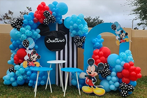 Kids Theme Party Decoration